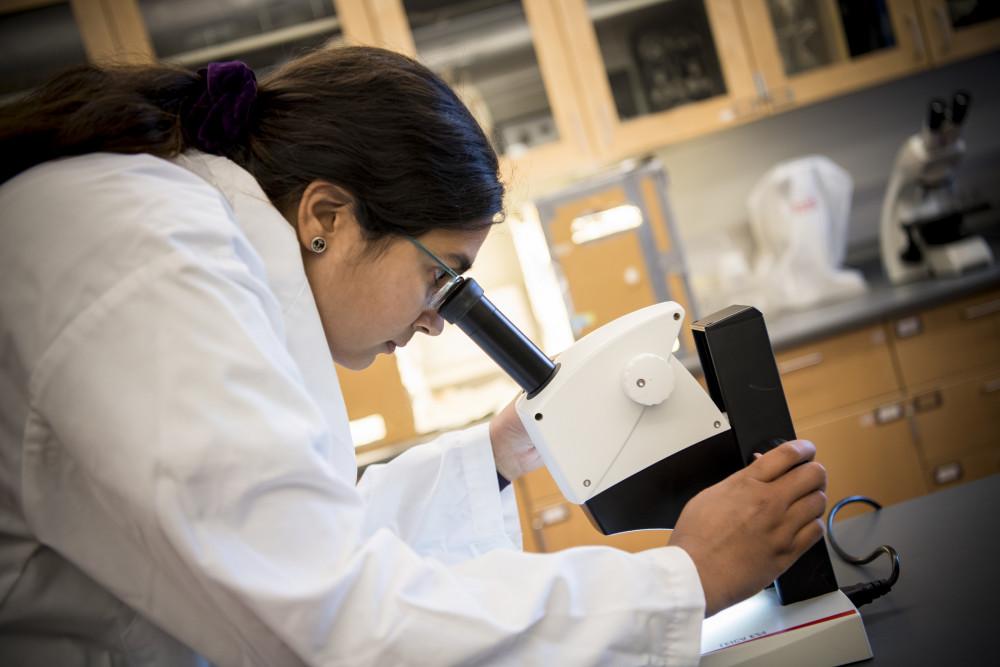 Students perform many hands-on lab experiments in their science course work.